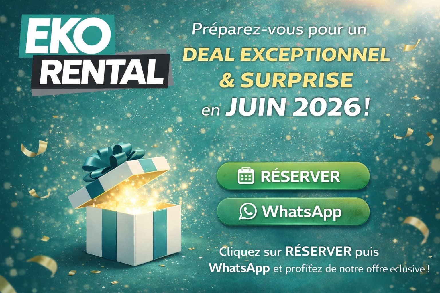 TOYOTA RAV4 - vitrine 1