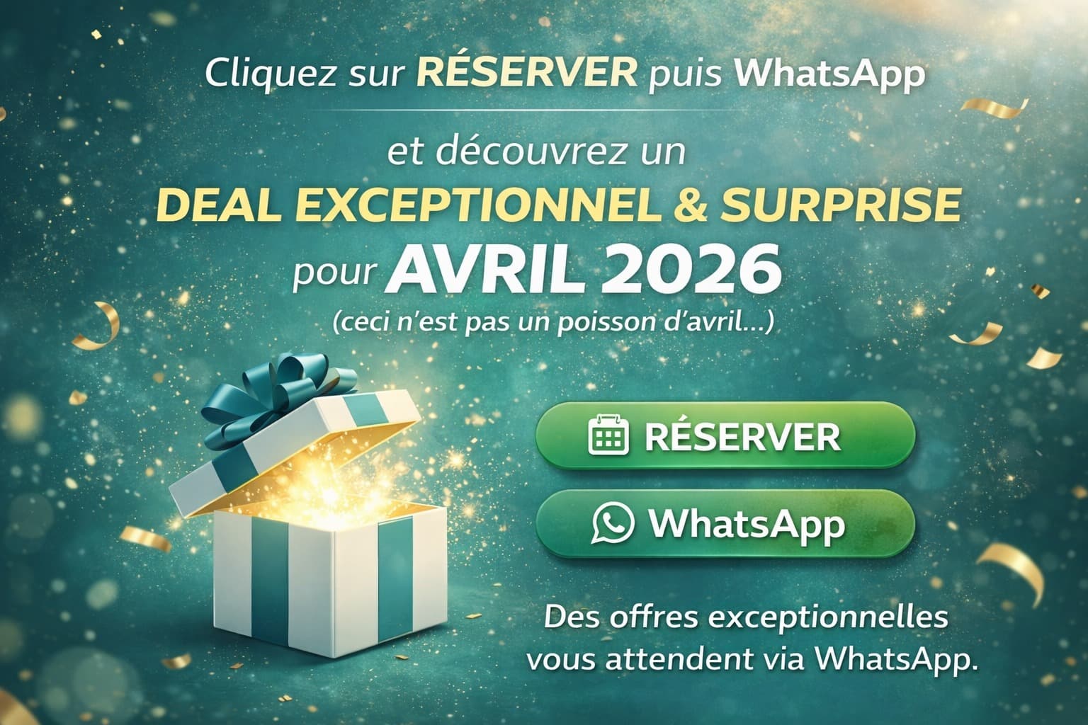 TOYOTA RAV4 - vitrine 1